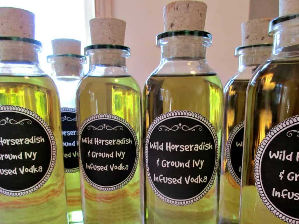 Bottles filled with horseradish infused vodka